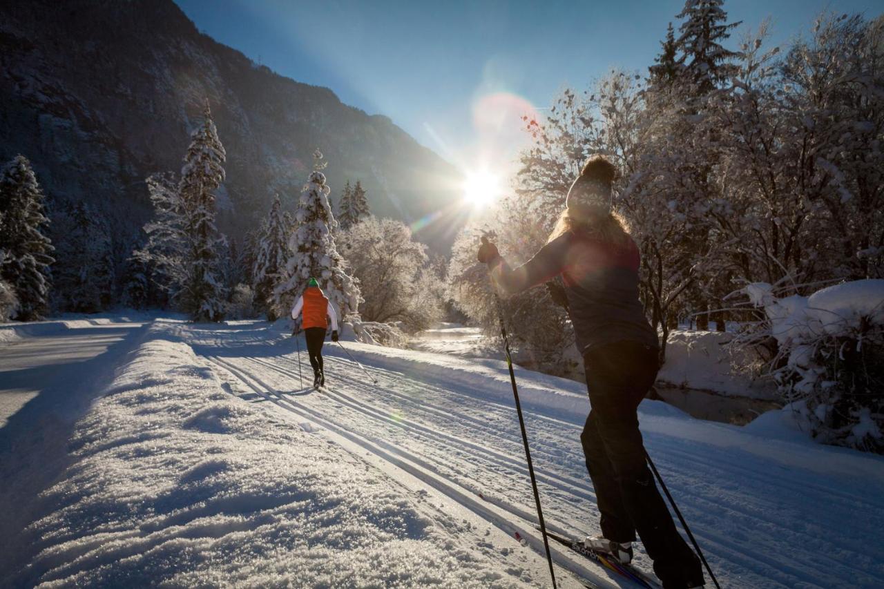Chalet Happy Family, Secluded Location, 15 Min To Salzburg And Just Short To T Lakes Sound Of Music, Bbq&Bikes&Sunbeds For Free, Up To 14P ゴリング・アン・デア・ザルツァッハ エクステリア 写真